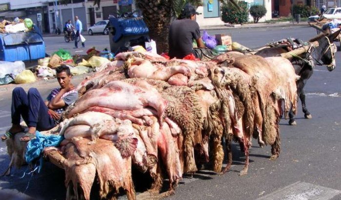 Eid ul-Adha: grote schoonmaakoperatie in Casablanca na feest (video)