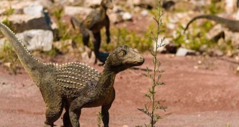 Dinosaurus Marokko