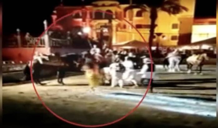 Marokkaanse ruiter gered door Israëlische toerist (video)