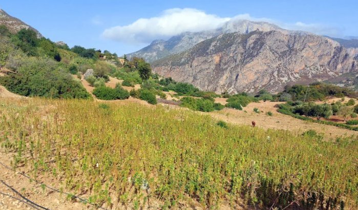Inwoners Nador beschuldigen vastgoedmaffia van diefstal grond (video)