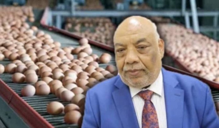 Marokko: Kamerlid Abdellatif Zaim opnieuw slachtoffer eierendiefstal