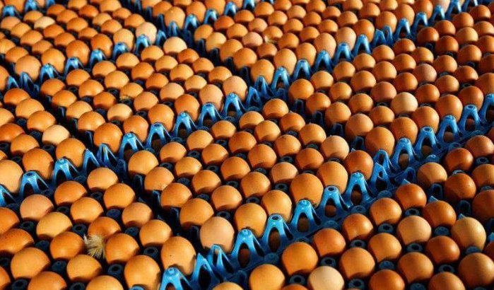 Marokko gaat eieren uit Oekraïne invoeren