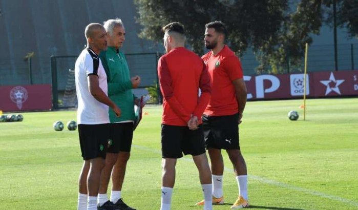 Vahid Halilhodzic eist meer inspanningen van de Atlas Leeuwen