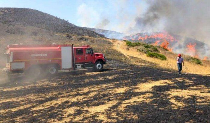 Tanger: 72 hectare bos in de as gelegd