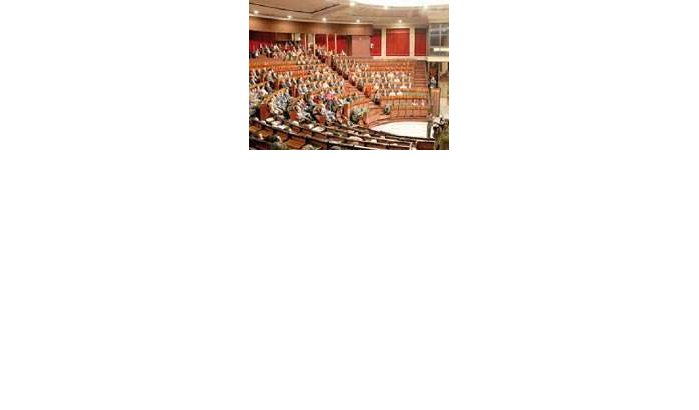 Constitutionele Raad verwerpt parlementaire immuniteit 
