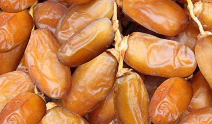 Zorgen in Marokko door overvloed Algerijnse en Tunesische dadels 