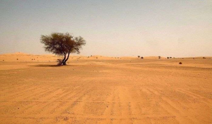Sahrawi uit Tindouf sterft van dorst onderweg naar Marokko