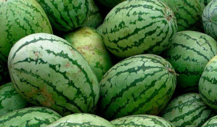 Marokko: meerdere steden verbieden teelt watermeloen