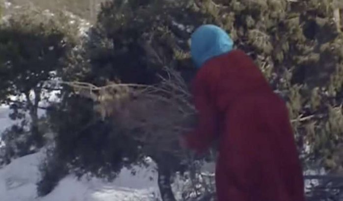 Sneeuw in Al Hoceima: Fatima loopt dagelijks meerdere kilometers voor brandhout (video)