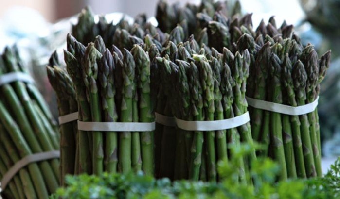 Marokko breekt exportrecord voor asperges, België nr 1 klant