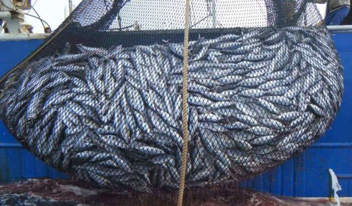 Russen mogen in Marokkaanse wateren vissen