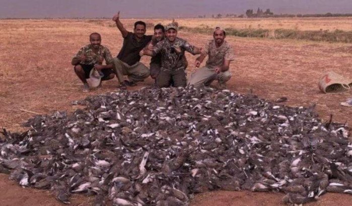 Marokko: Arabische toeristen plegen ecologisch bloedbad (video)