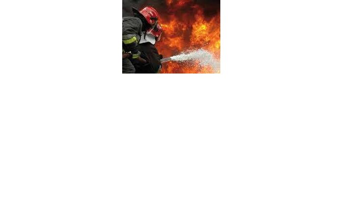 Brand in Al Hoceima verwoest 8 hectare bos