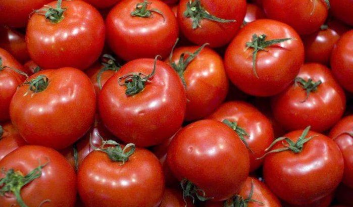 Rusland weigert Marokkaanse tomaat