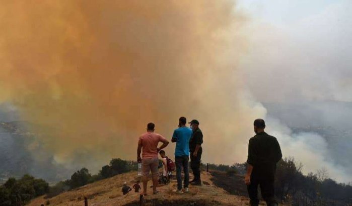 Nieuwe informatie over bosbranden in Algerije waarvan Marokko de schuld kreeg