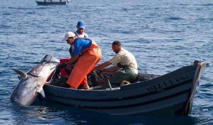 Spaanse kustwacht opent vuur op Marokkaanse vissers