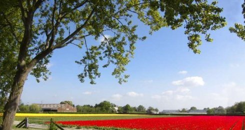 Wassenaar