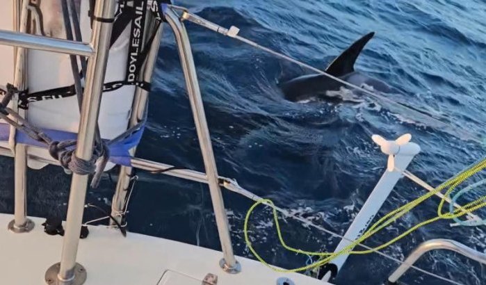 Nieuwe orkaanval voor kust Marokko