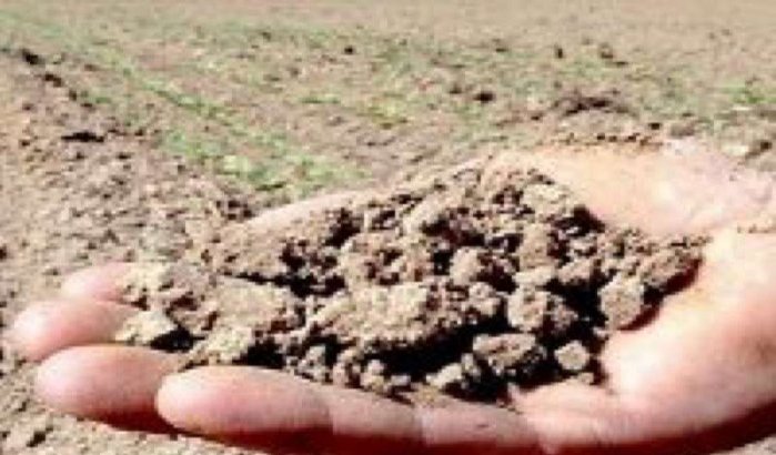 Landbouw: droogte kost 1,53 miljard dirham aan de Staat 