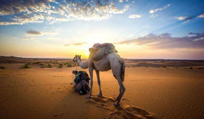 Marokko: al 45 procent minder toeristen