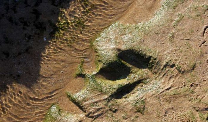 Voetafdruk groot dinosaurus ontdekt in Imilchil