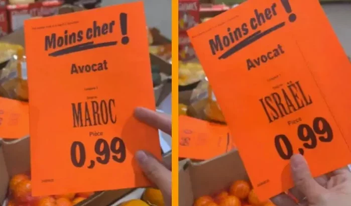 Lidl verkoopt Israëlische avocado's als Marokkaans