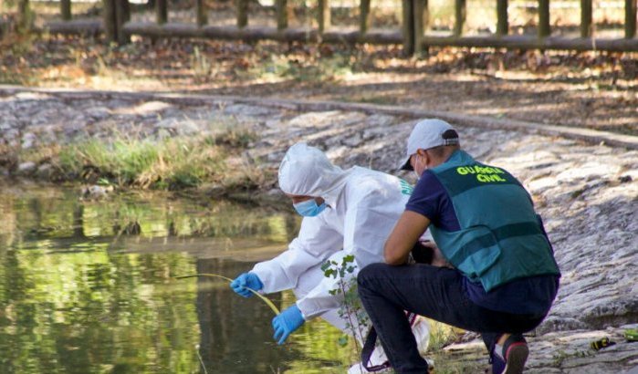 Tragisch overlijden Marokkaans meisje in Spaanse vijver