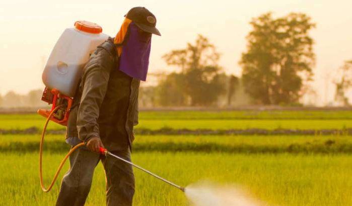 Marokko werkt aan verbod op pesticiden