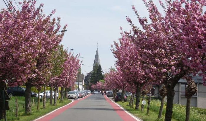Weer Anzegem