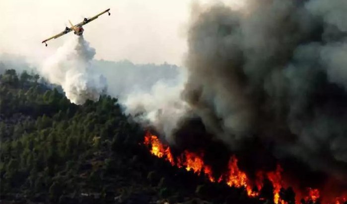Grote bosbrand verwoest 290 hectare in Tetouan