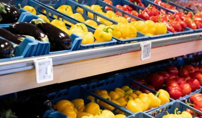 Tekort aan groenten: Belgische supermarkten te afhankelijk van Marokko