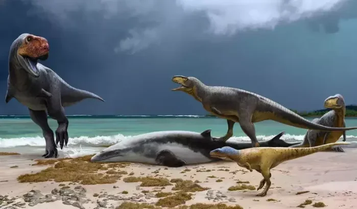 Revolutionaire dino-vondst: Marokko herschrijft geschiedenis