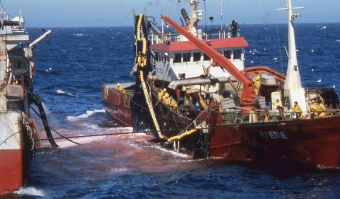 Marokkaanse vissersboot redt Algerijnse vissers op zee