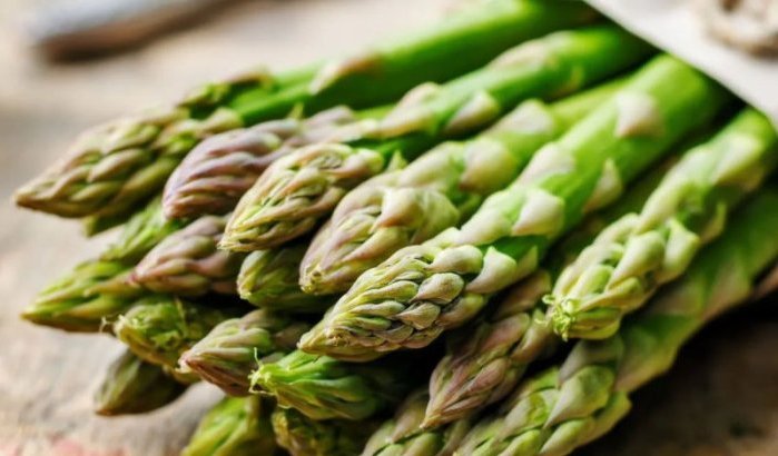 Marokkaanse asperge-export naar recordhoogte: België topimporteur