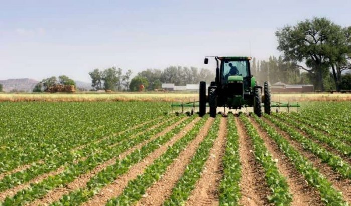 Landbouw: Israël wil betere samenwerking met Marokko