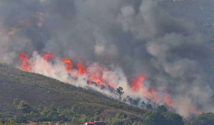 Celstraffen voor bosbranden in Al Hoceima