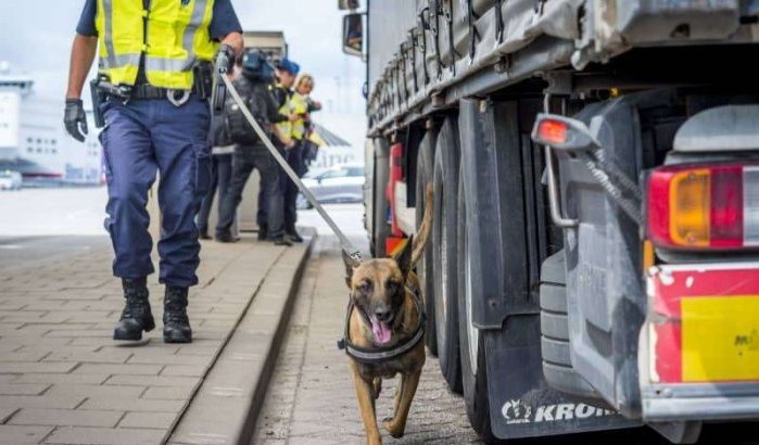Nederland: Marokkaanse migranten aangetroffen in Hoek van Holland
