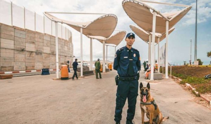 Wereld-Marokkanen opgepakt voor drugshandel in Tanger Med