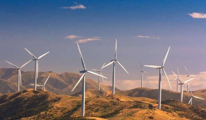 Taza huldigt eerste windmolenpark in