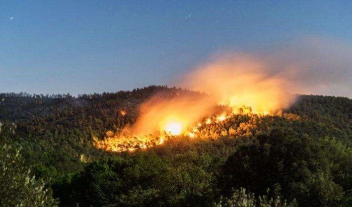 Marokko: bosbranden verrichten opnieuw veel schade