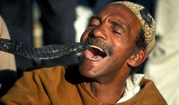 Marrakech: toerist moet fortuin betalen voor foto met slang 