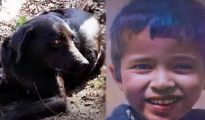 Hond Rayan weigert graf kleuter te verlaten