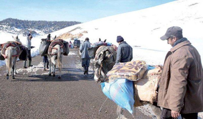 Marokko: noodplan voor door kou getroffen gebieden