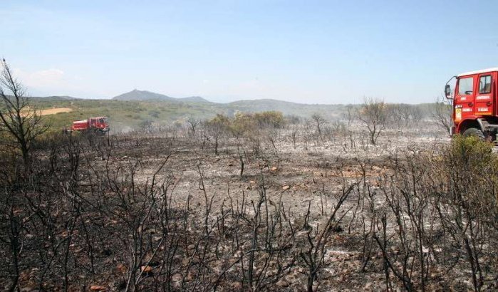 Aanstichters bosbranden Tetouan en Chefchaouen gearresteerd