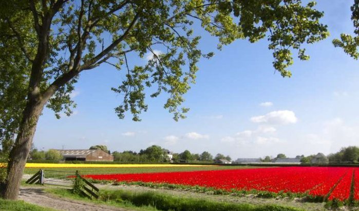 Weer Wassenaar