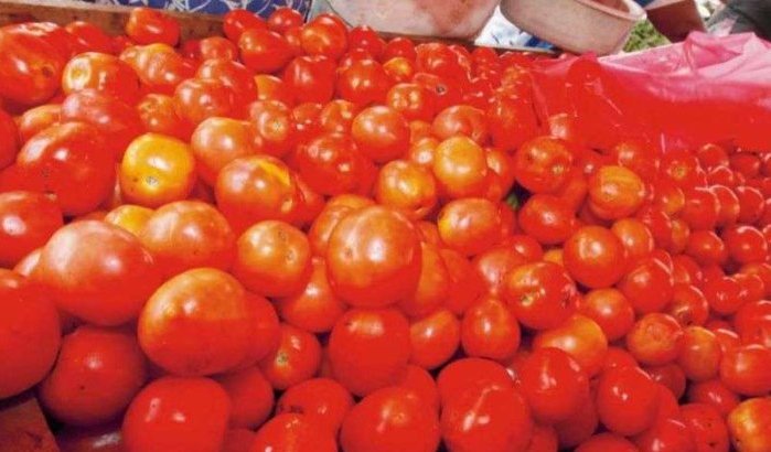Rusland legt beslag op lading Marokkaanse tomaten