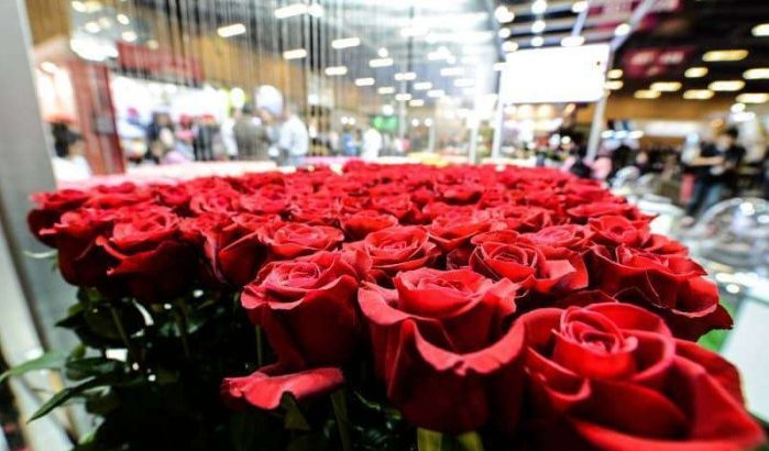 Colombia gaat rozen uitvoeren naar Marokko