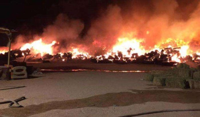 Marokko: brand bij koninklijk paleis Agadir