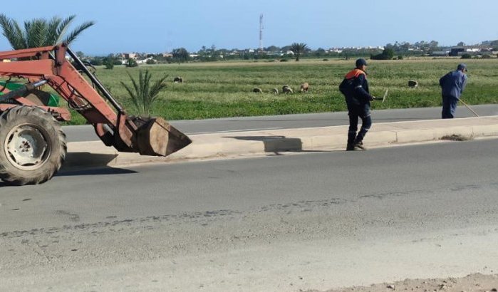 Koning Mohammed VI bezoekt Casablanca-Settat: regio in rep en roer