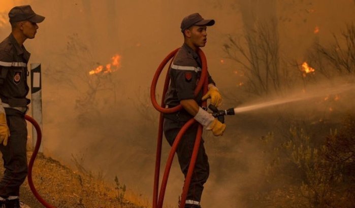 Bosbrand woedt op berg Tiziran in Chefchaouen